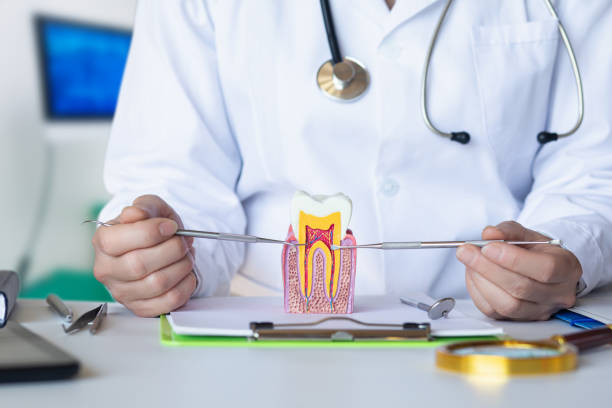 Best Emergency Dentist for Knocked-Out Tooth in Manteo, NC
